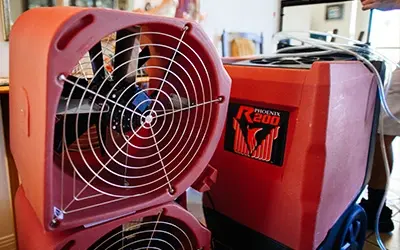 Fans and Dehumidifiers